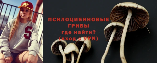 a pvp Новодвинск