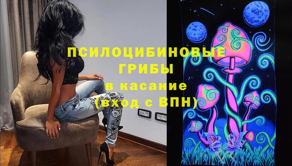 a pvp Новодвинск