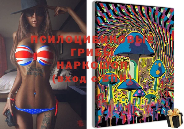 MDMA Новозыбков