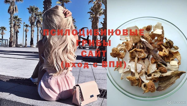 MDMA Новозыбков