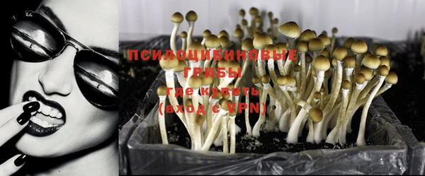 a pvp Новодвинск