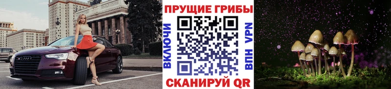 Купить  Инсар  Галлюциногенные грибы ЛСД 